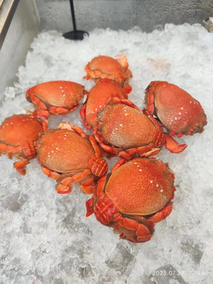 海鮮海蟹