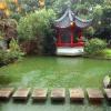 獨(dú)有的后花園
