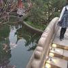 小橋流水